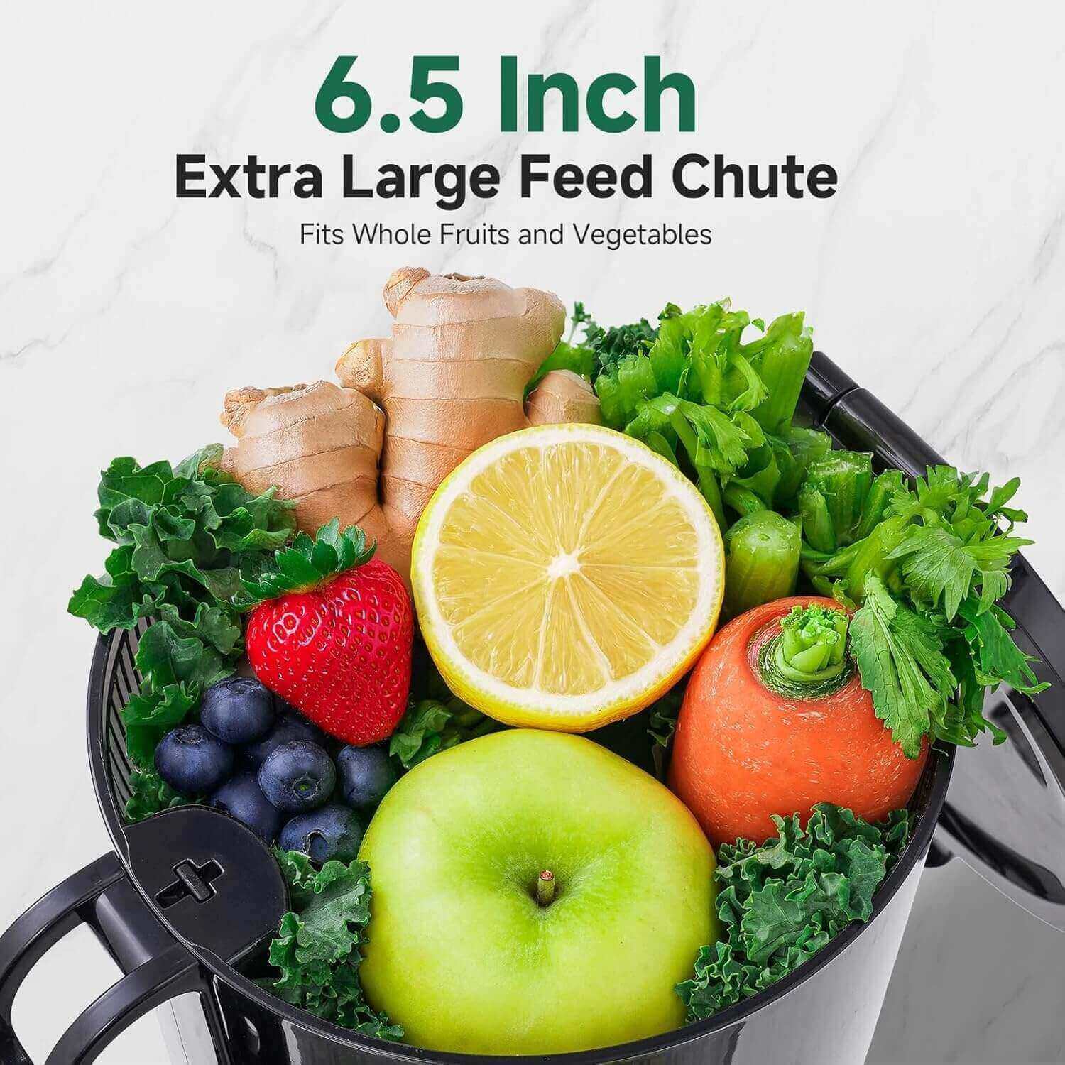 AMZCHEF Masticating Juicer for Whole Fruits and Vegetables.